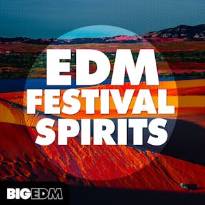 EDM Festival Spirits